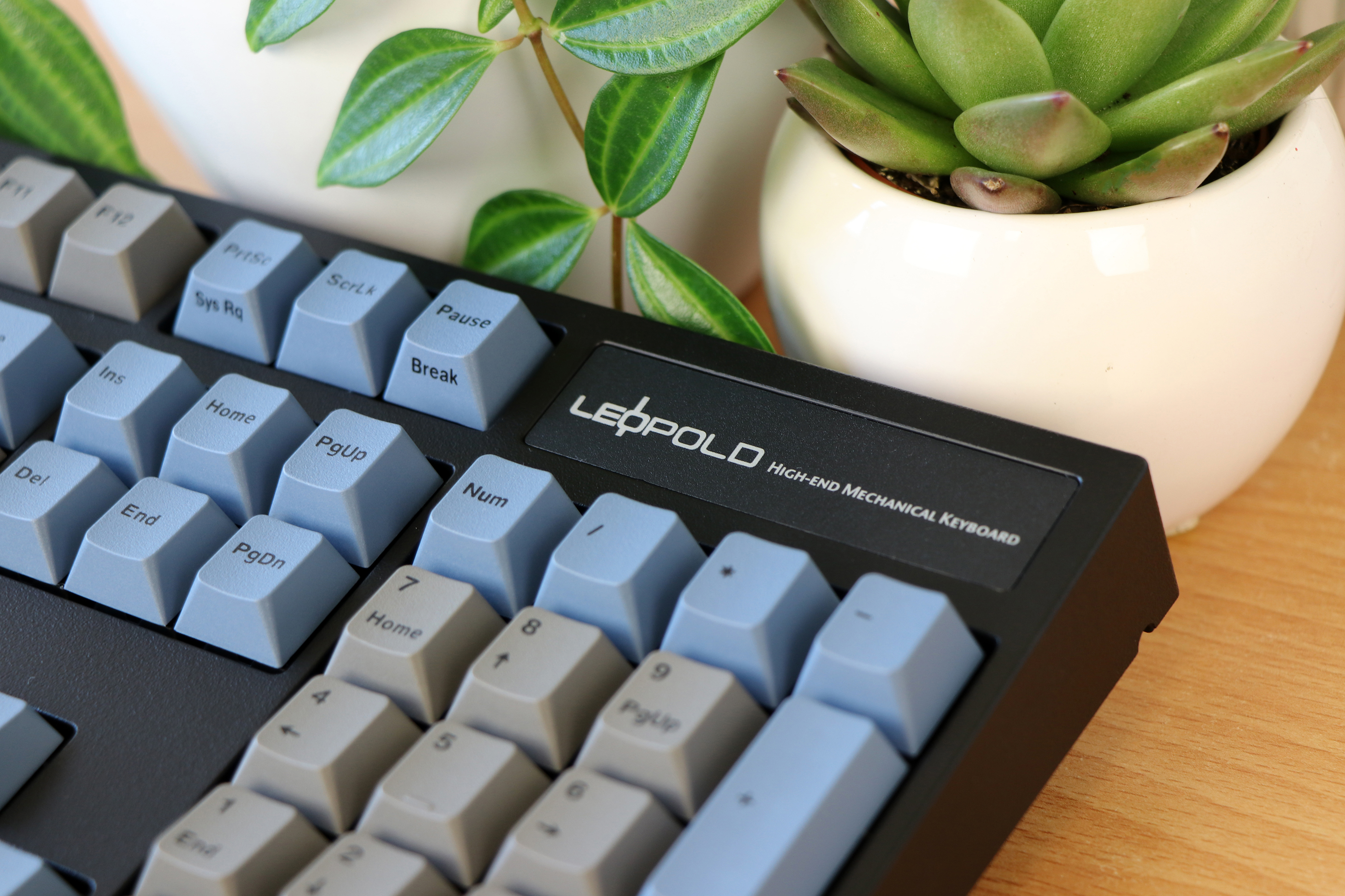 Leopold FC900R review | Techtesters