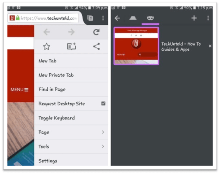 Adobe flash player alternative tercopy