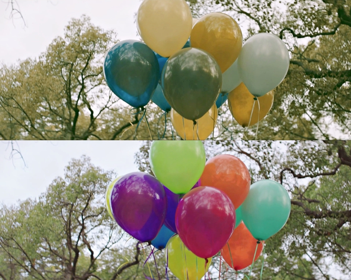 EnChroma Makes Sunglasses that Allow Colorblind to See Full Color