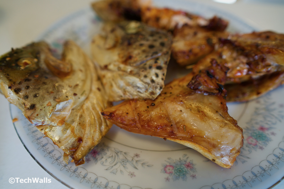 Moosoo 24.3Qt 10-in-1 Air Fryer Oven Review - TechWalls