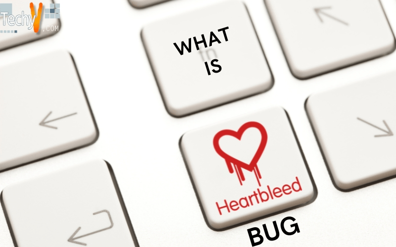 What to know about the Heartbleed Bug?