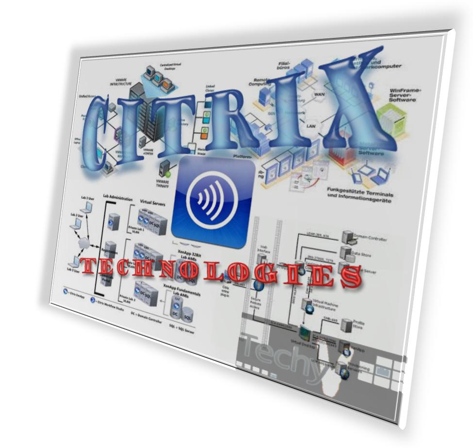 The Citrix Technologies System and its Alternatives