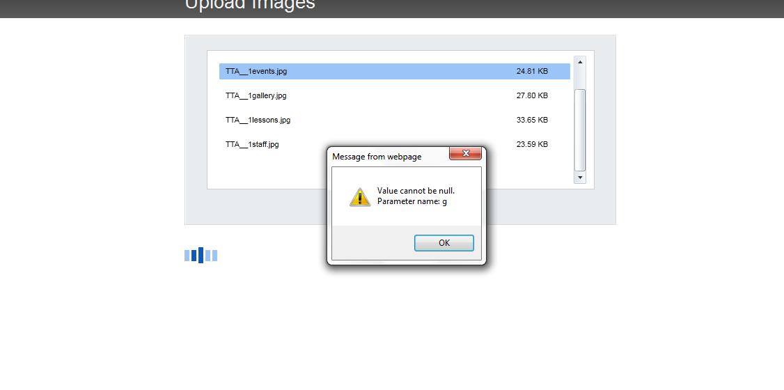 "Value cannot be null" error while uploading pictures via sitefinity