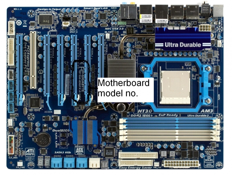 Video Card's compatibility to a Mother Board
