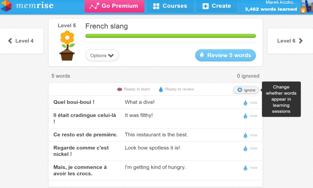 Top Ten Best German Learning Software