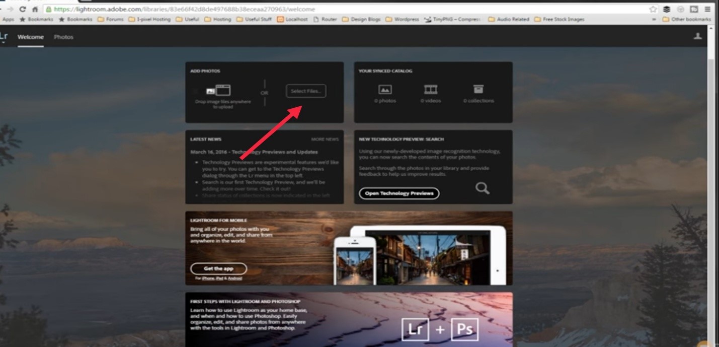 What Are The Steps To Follow While Using Adobe Lightroom Online Editing