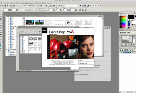Paint Shop Pro 8 Solutions. (eBook, 2003) [WorldCat.org]
