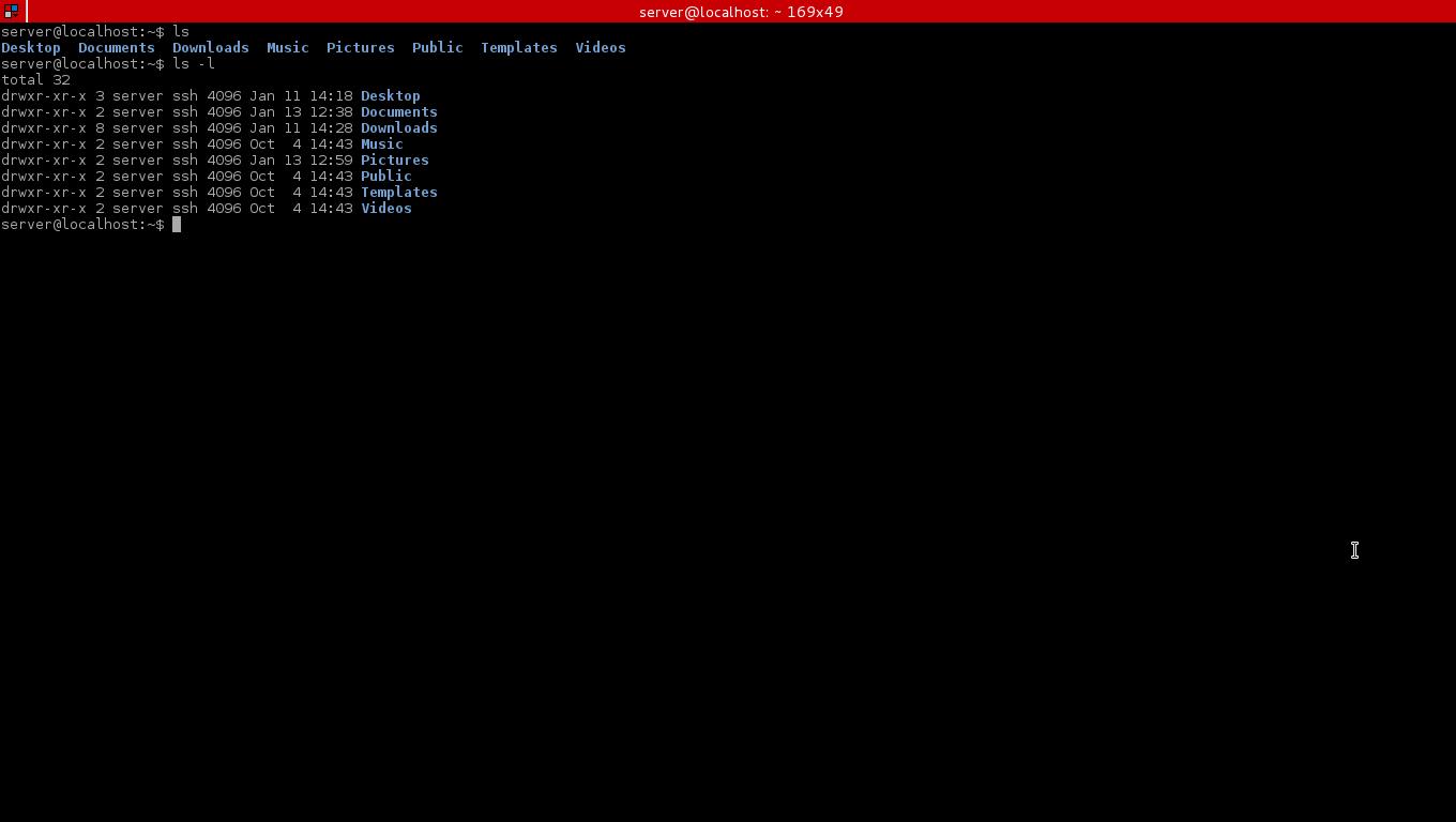 Terminator 0.97 A Terminal Emulator to Manage Multiple Terminal