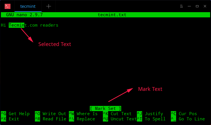 A Beginner's Guide on How to Use Nano Text Editor in Linux