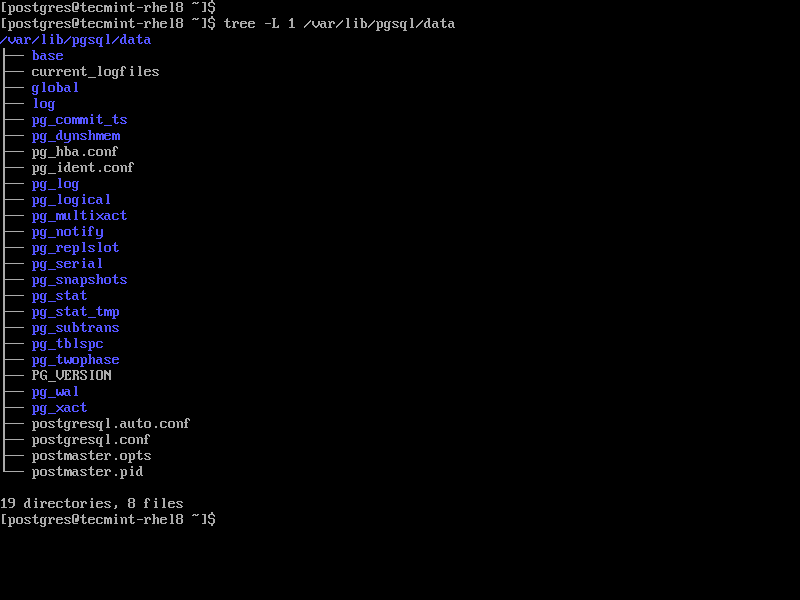 How to Install PostgreSQL in RHEL 8