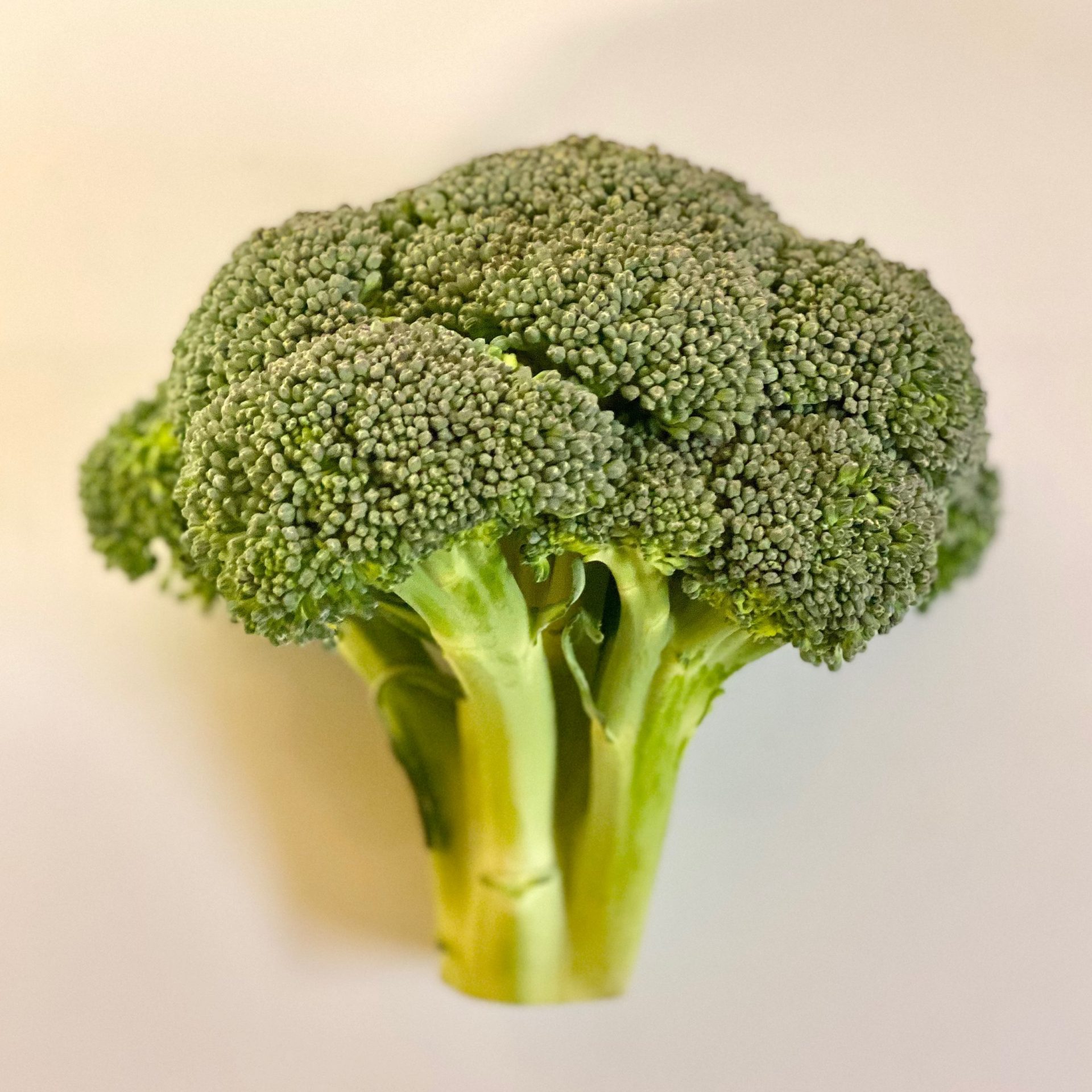 Broccoli Bunch