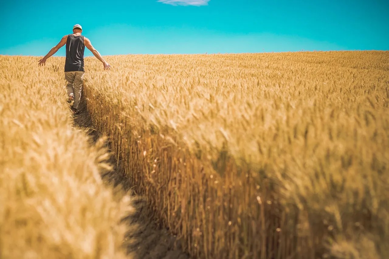 Agricoltura Sociale E L'impresa Agricola Multifunzionale 853_x_1280_webp