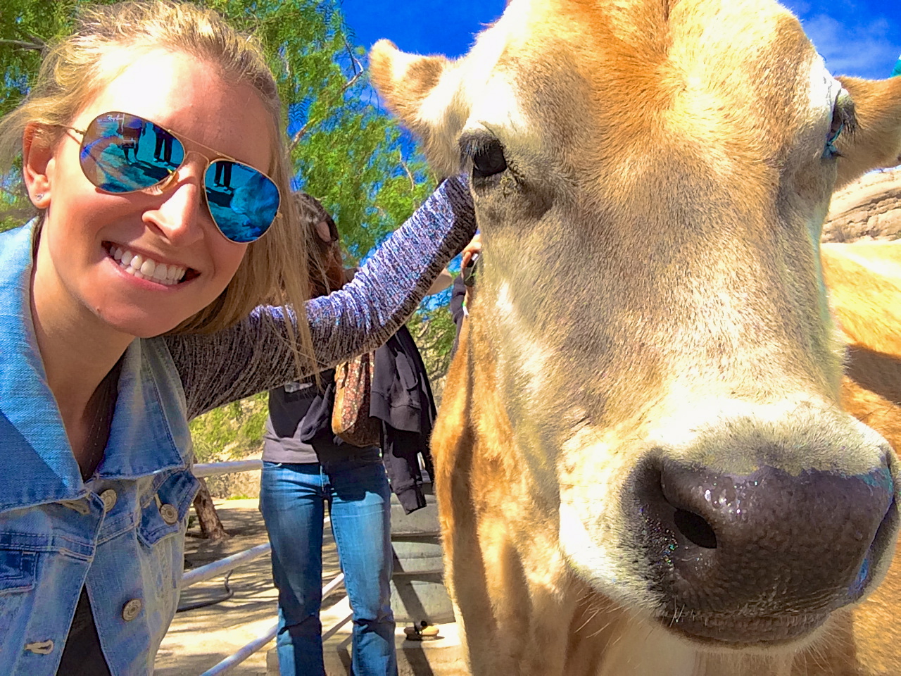 The Gentle Barn Tedi Sarah