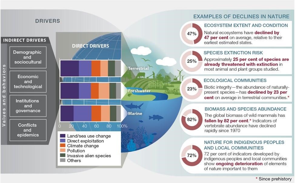Reflections following the IPBES Global Assessment Launch
