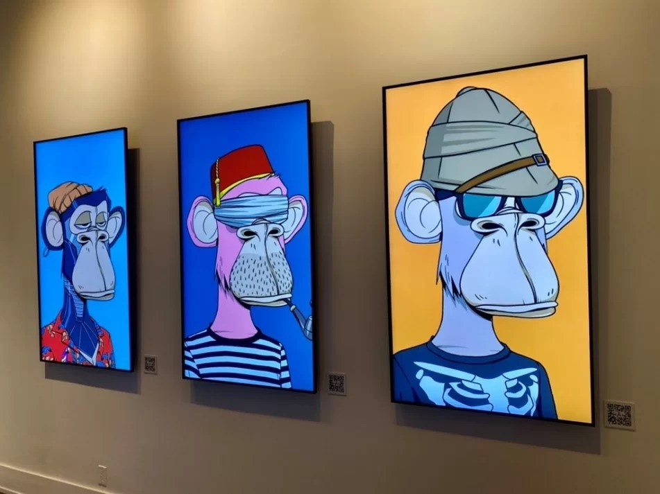 Best NFT Display • Tekrati May