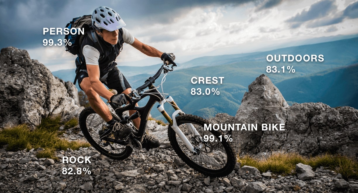 The 12 Best Image Recognition Apps That You Should Try In 2023