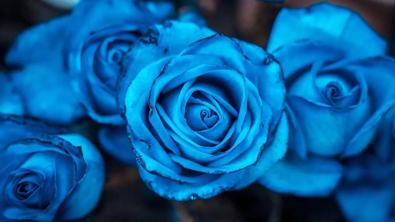 Flores Azules Artificiales: Duraderas Y Hermosas | TeleFlor