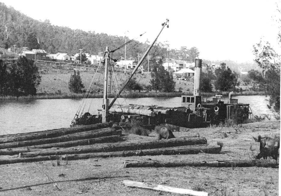 A History of Our Timber Industry Telegraph Point