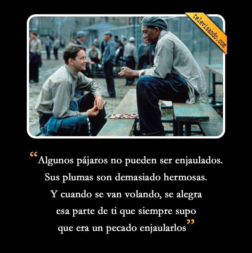 Frase de Cadena Perpetua La Mejor Frase de la Película