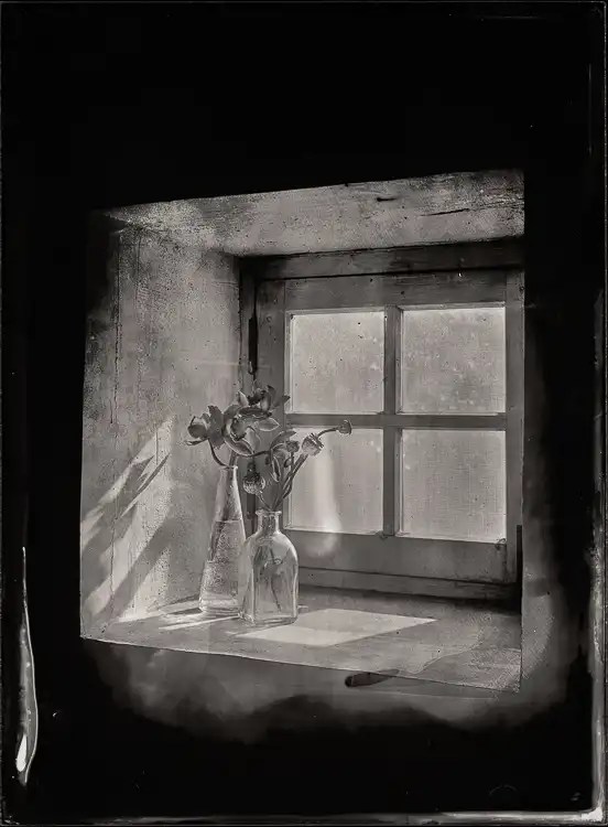 Natureza morta com flores secas com fundo de janela de madeira. Negativo de colódio digitalizado.