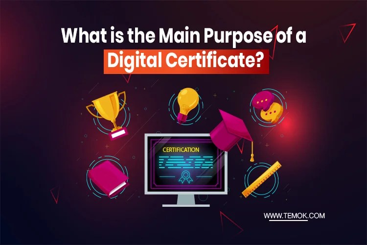 What is a Digital Certificate Everything You Need To Know