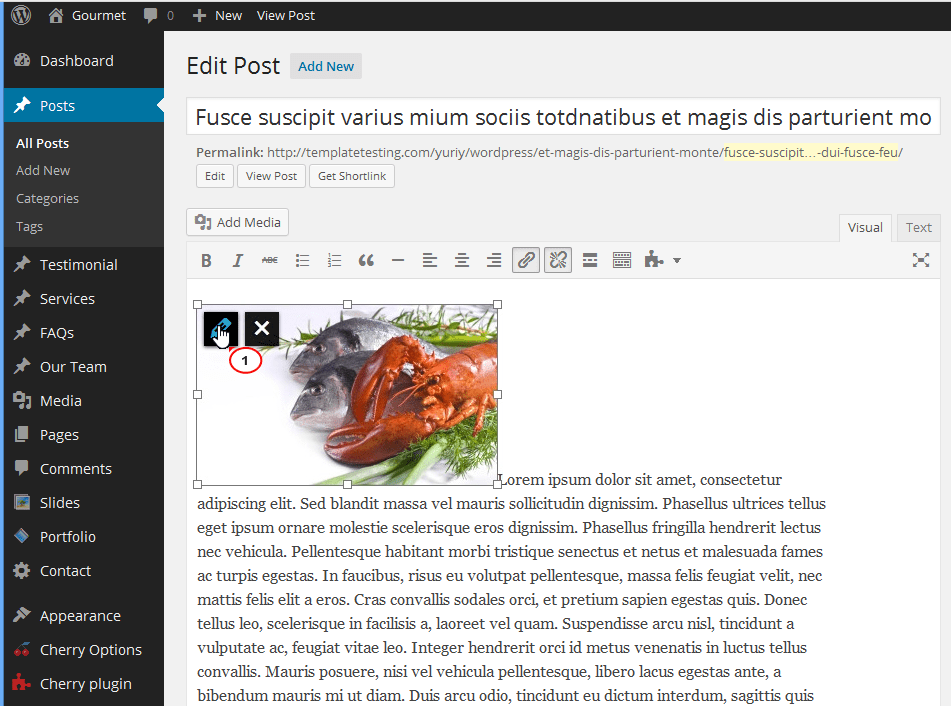 WordPress. How to wrap text around the image Template Monster Help