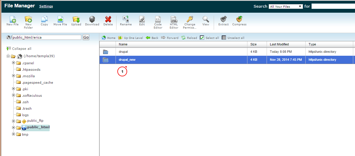 Drupal 7.x. How to perform database update Template Monster Help