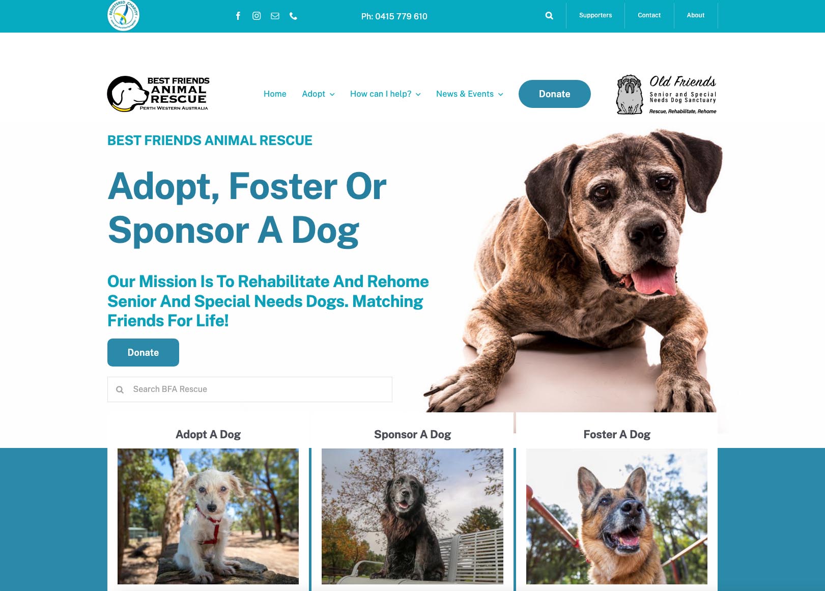 Best Friends Animal Rescue site Design Temple Design