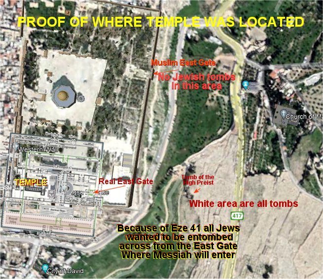 The Red Heifer Bridge by Norma Robertson