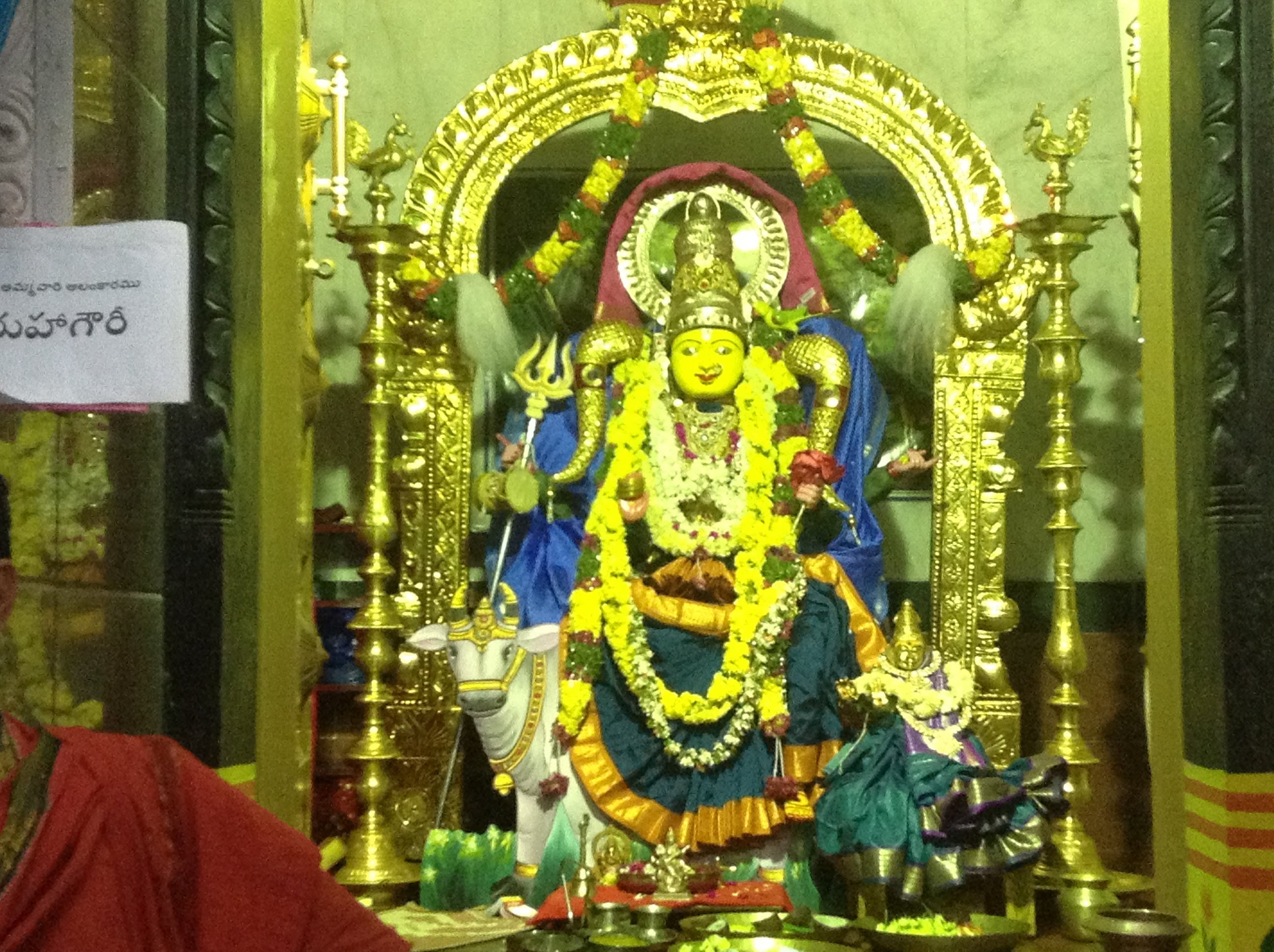 Gnana Saraswati Temple Info, Timings, Photos, History