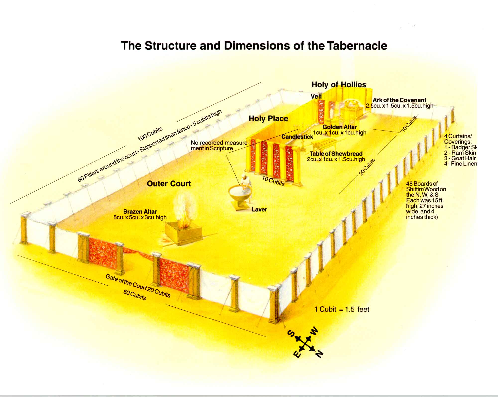 Picture Of Bird Caught In The Tabernacle Building 2022 Up To Date