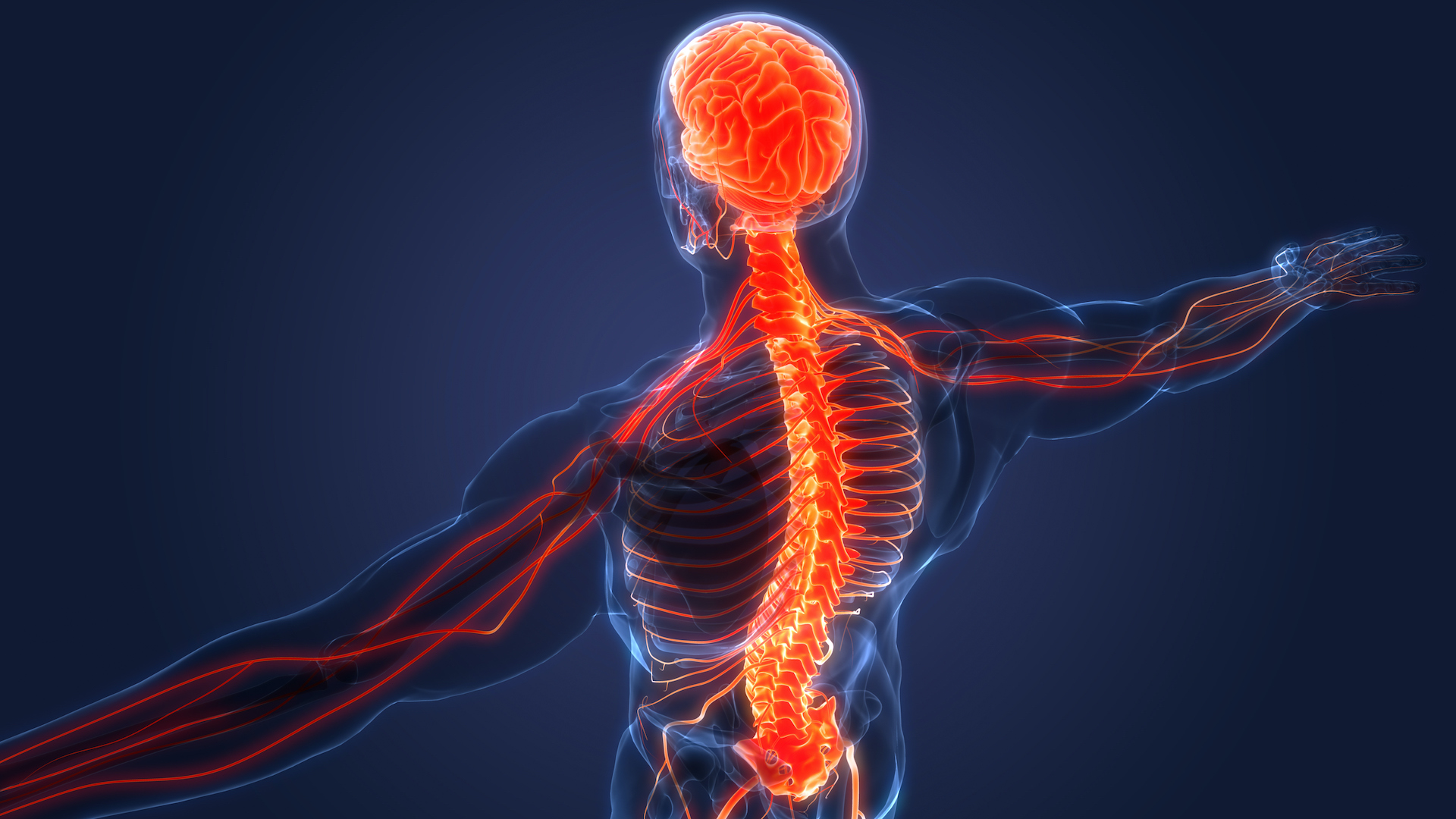 The Latest in Stem Cell Therapy Research for Spinal Cord Injury Tempo