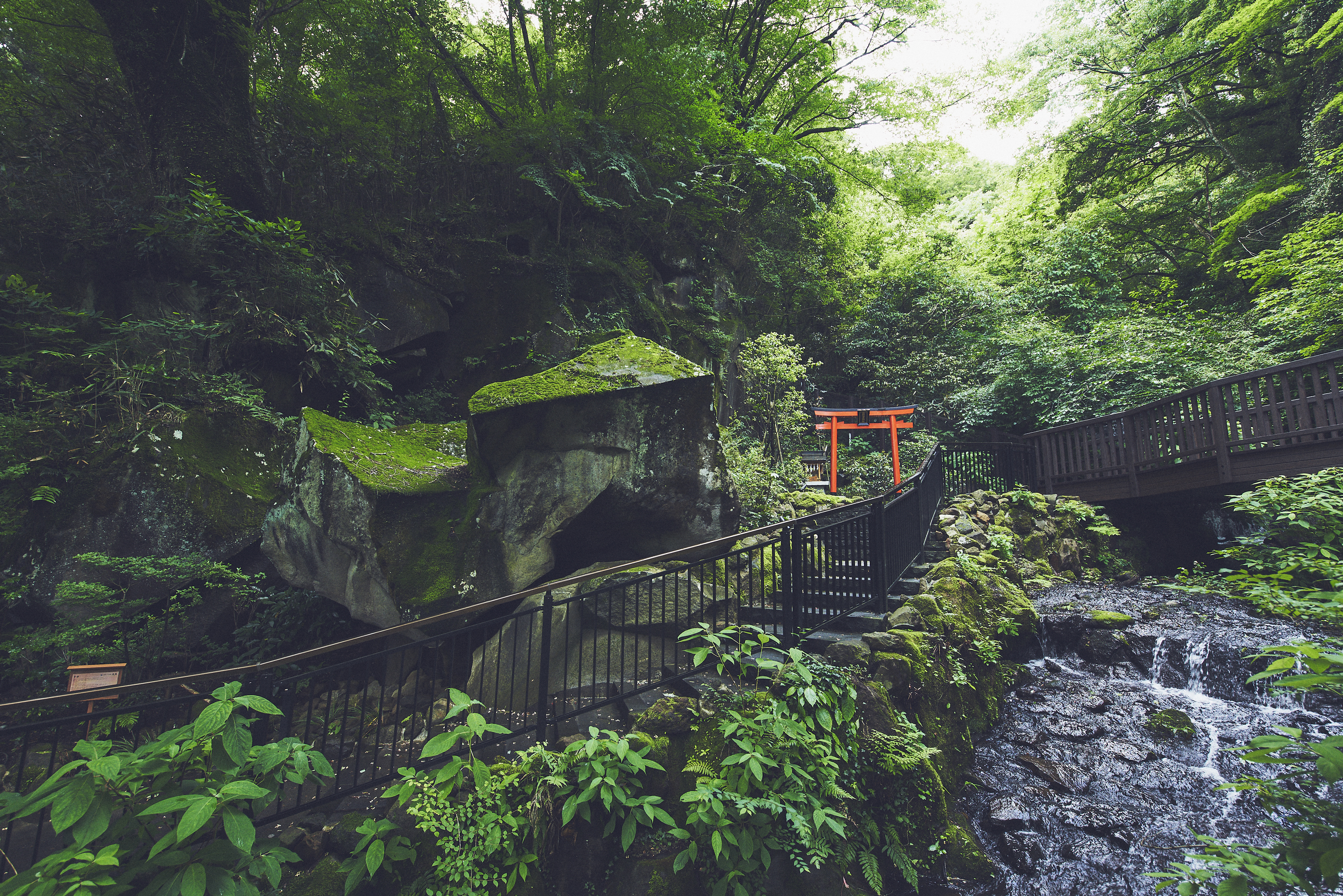 関東屈指のパワースポット、箱根の神社巡りでご利益アップ 【公式】箱根小涌園 天悠