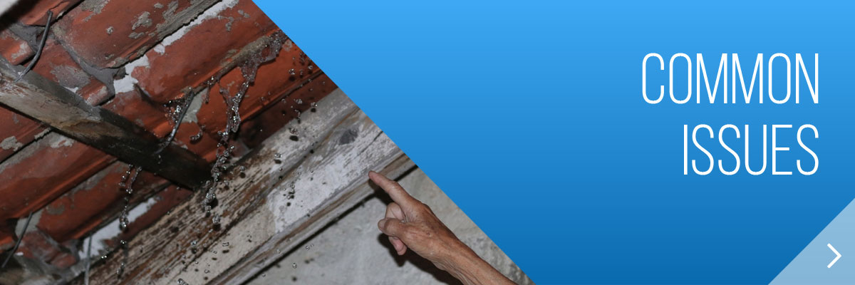 Tenant Compensation Claims against Landlords in Manchester and across