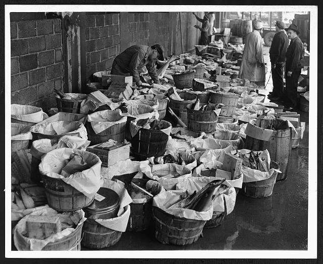 Tails and Scales The Fate of the Fulton Fish Market Hangs in the