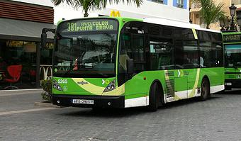 Private Tours Excursions From Los Cristianos In Tenerife