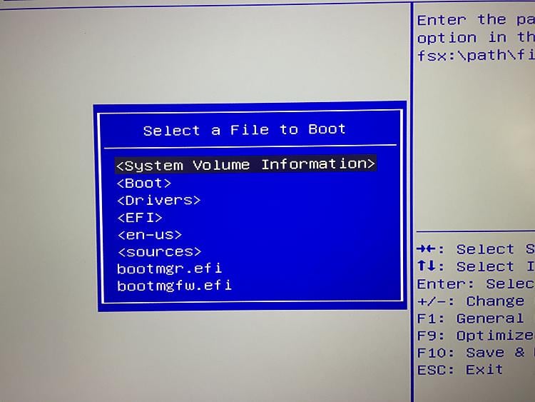 Need help in setting boot priority in bios... which file to choose