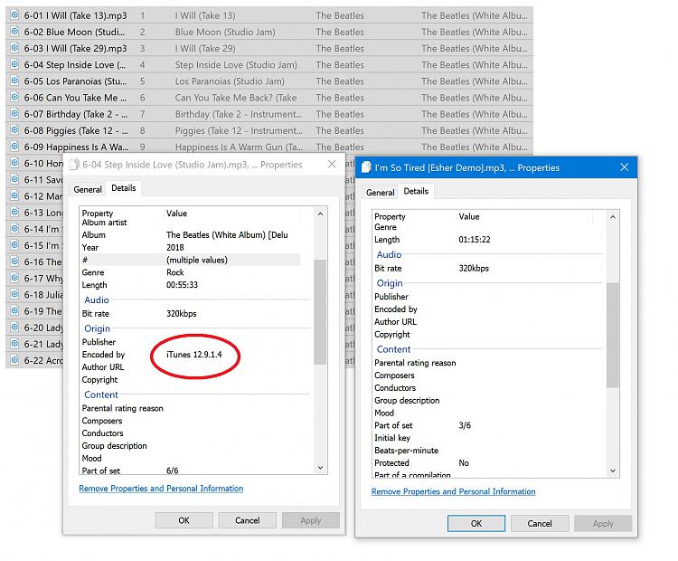 MP3 Metadata Problem...Can't Edit Without Deleting Other Values Solved