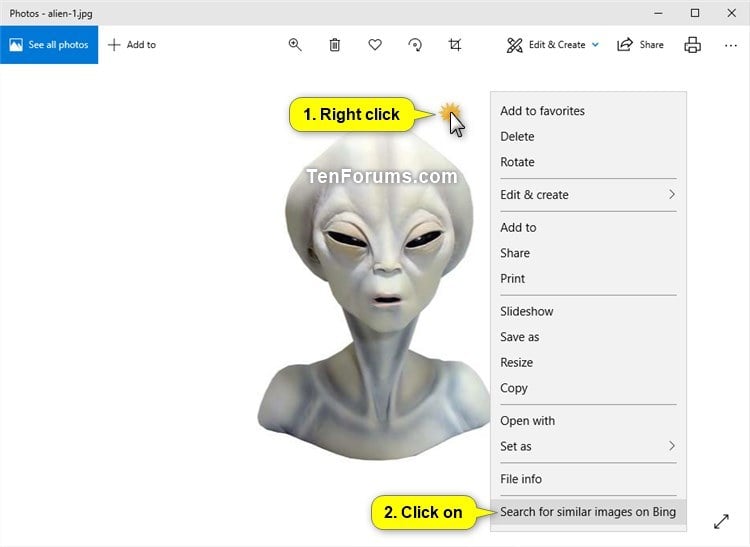 Find similar images from previous searches using image insights.
