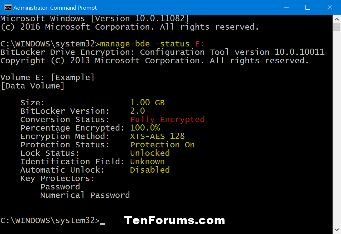 Security System BitLocker Drive Encryption Status Check in Windows 10
