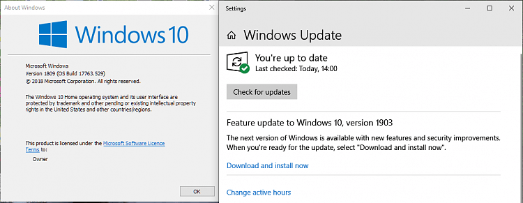 How to get the Windows 10 May 2019 Update version 1903 Page 100