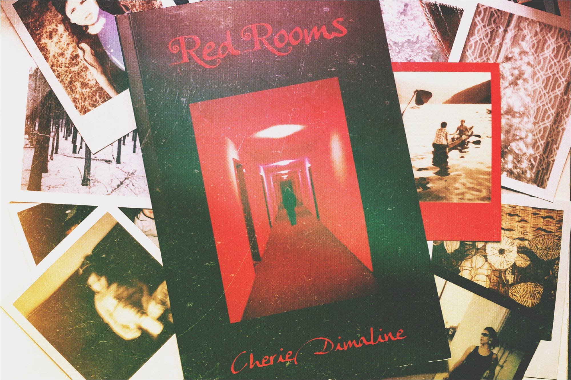 Red Rooms Cherie Dimaline » Tenille K Campbell // writings & ramblings