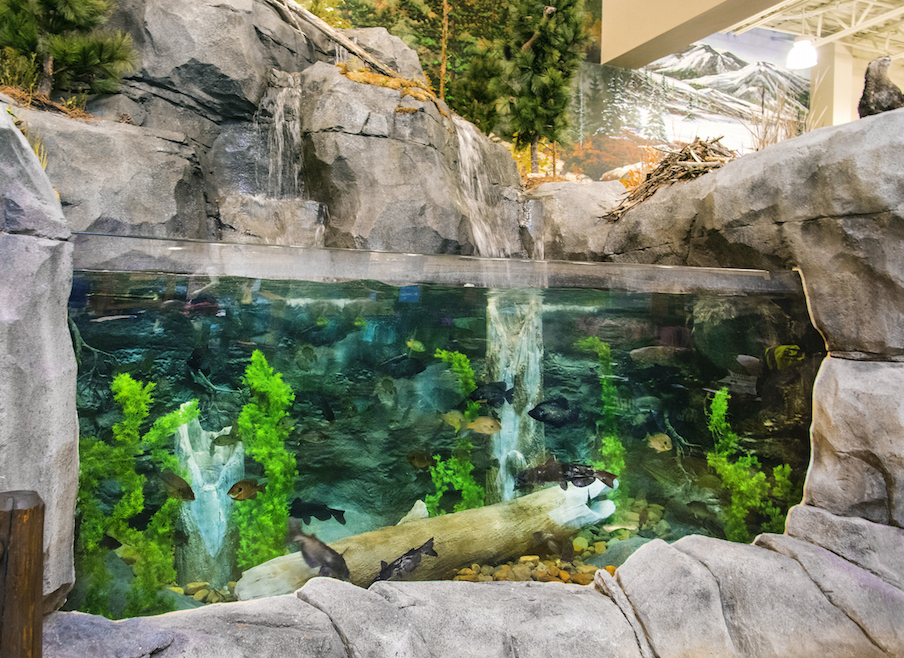 Commercial Tenji Aquarium Design + Build