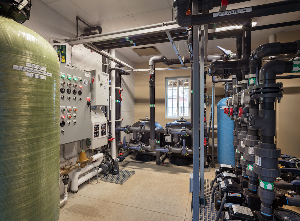 LSS (Life Support System) Tenji Aquarium Design + Build