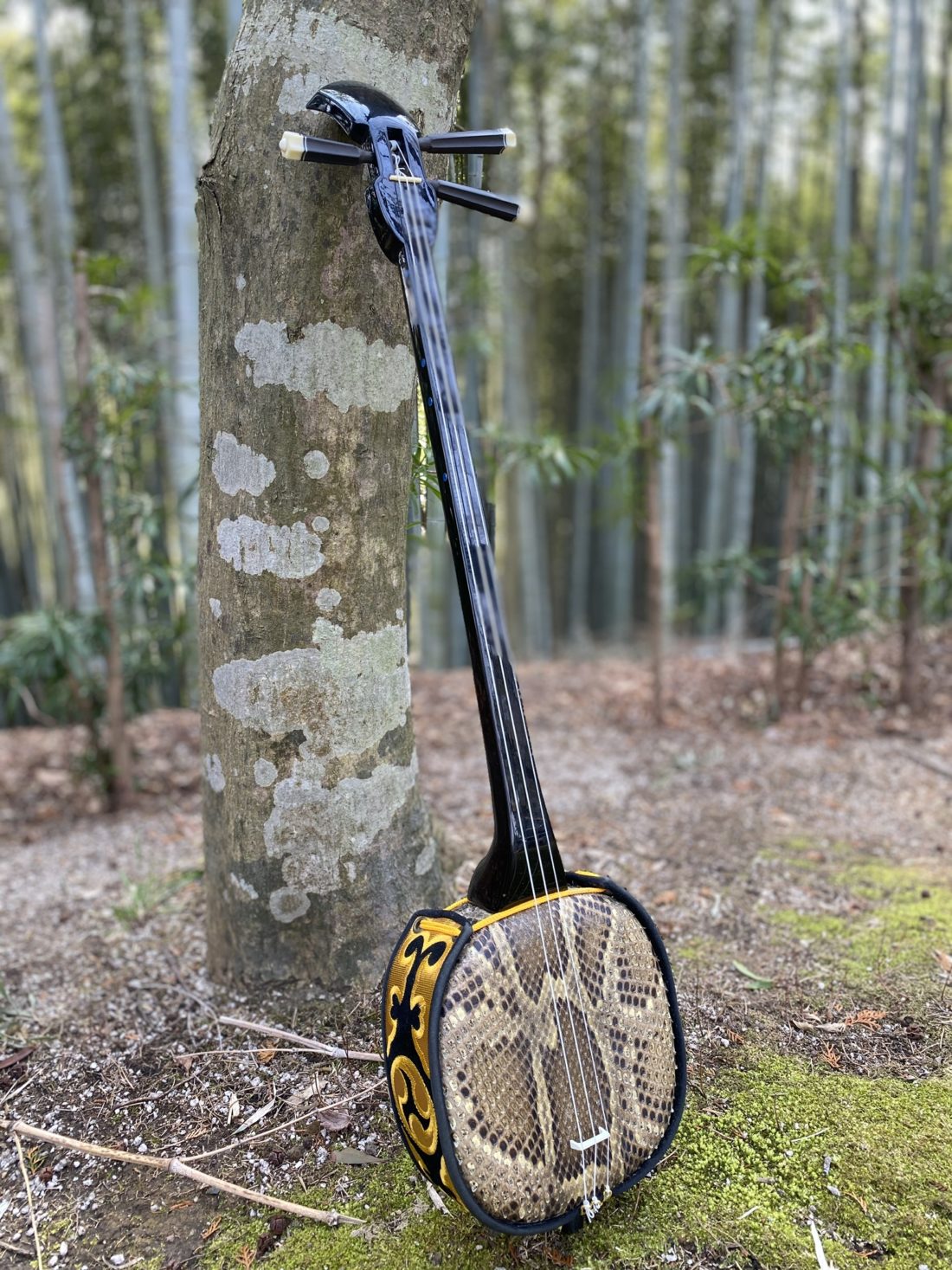 Strings Tentekomai Traditional Japanese Instruments