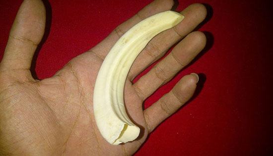 Ini 10 Benda yang Dianggap Keramat oleh Orang Indonesia Tentik