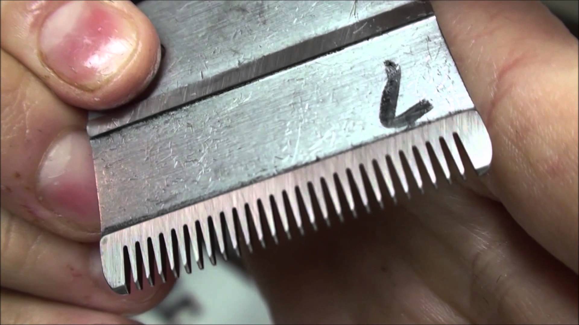 How To Sharpen Clipper Blades Topmost Guide 2018