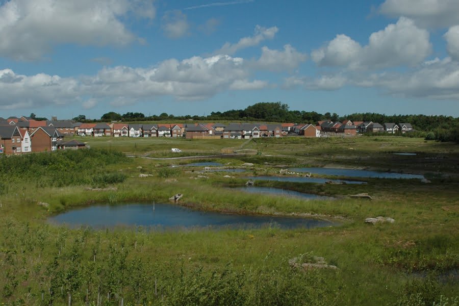 Heathlands Residential Scheme TEP The Environment PartnershipTEP