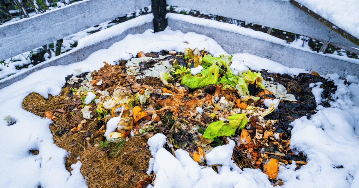Winter Composting Wisdom Tips to Thrive in Colder Months Teraganix